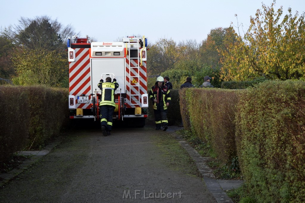 Feuer 1 brannten 3 Lauben Koeln Fuehlingen Kriegerhofstr P018.JPG - Miklos Laubert